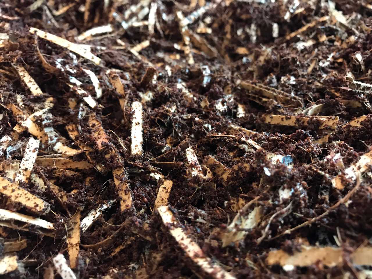 Mixed Worm Bedding